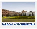 tabacal